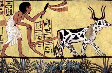 Plowing farmer from burial chamber of Sennedjem, circa 1200 BC